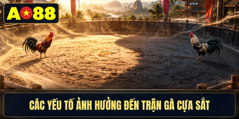 Các yếu tố ảnh hưởng đến trận gà cựa sắt